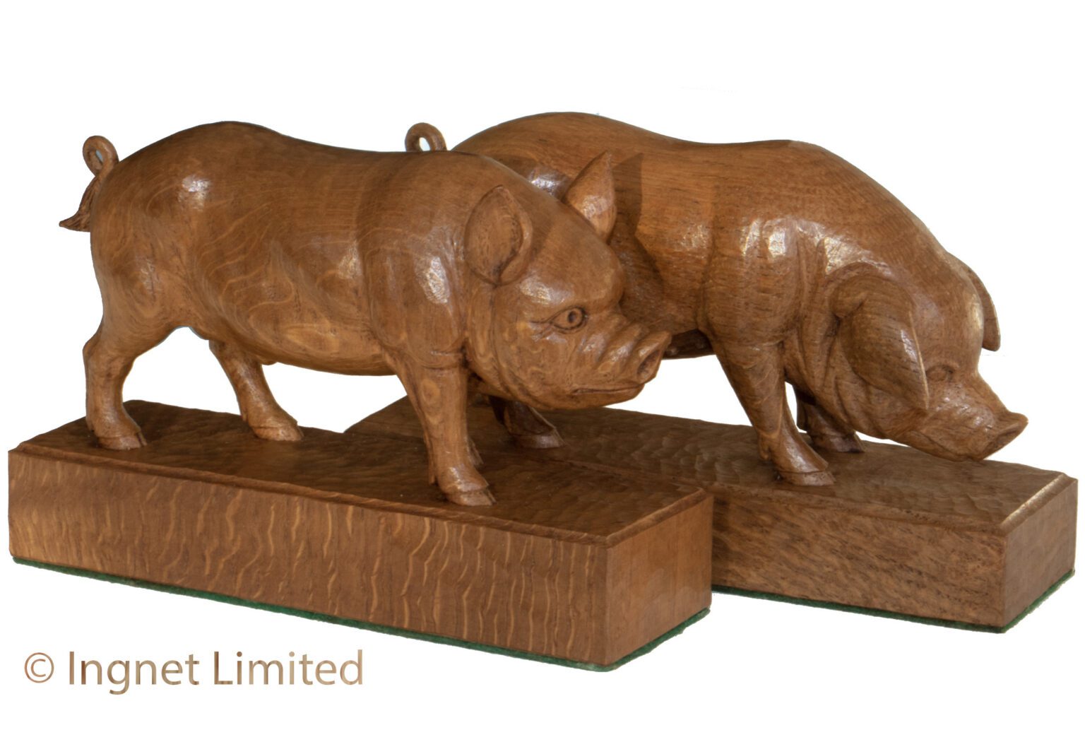 STAN DODDS WOODPECKER MAN BOAR & SOW – Ingnet