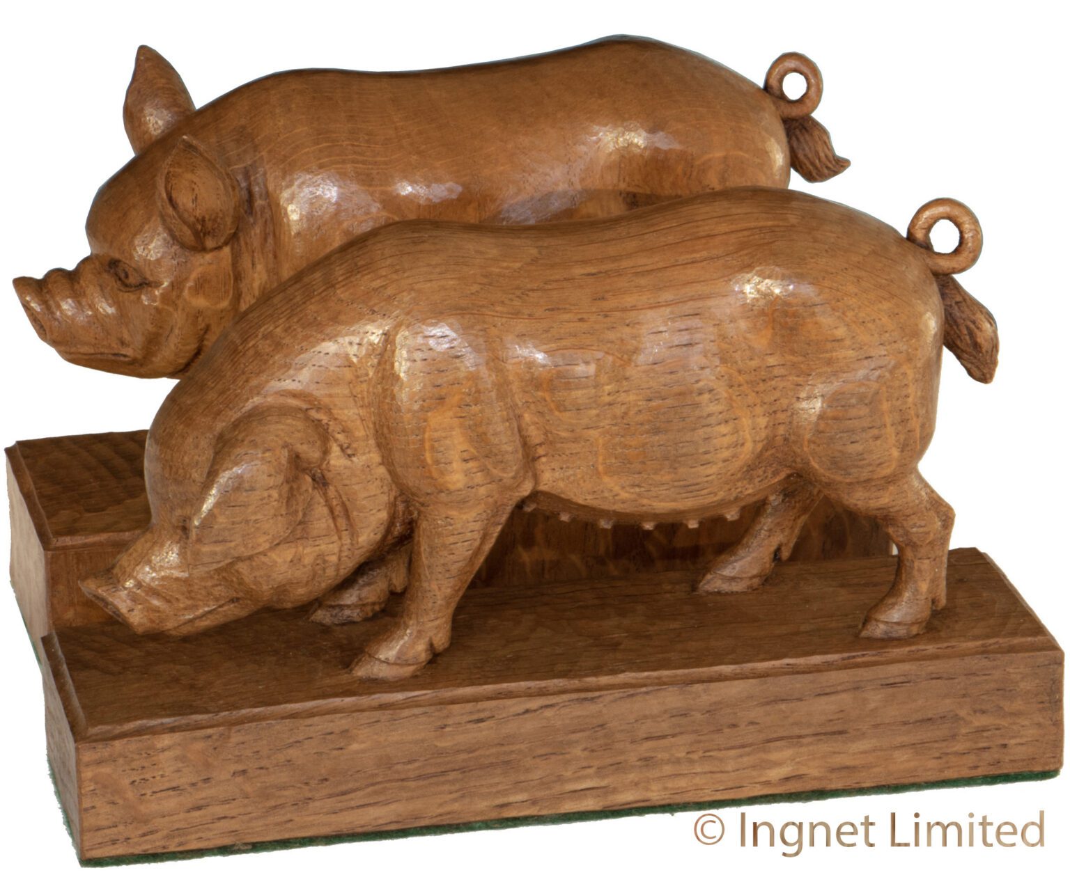 STAN DODDS WOODPECKER MAN BOAR & SOW – Ingnet